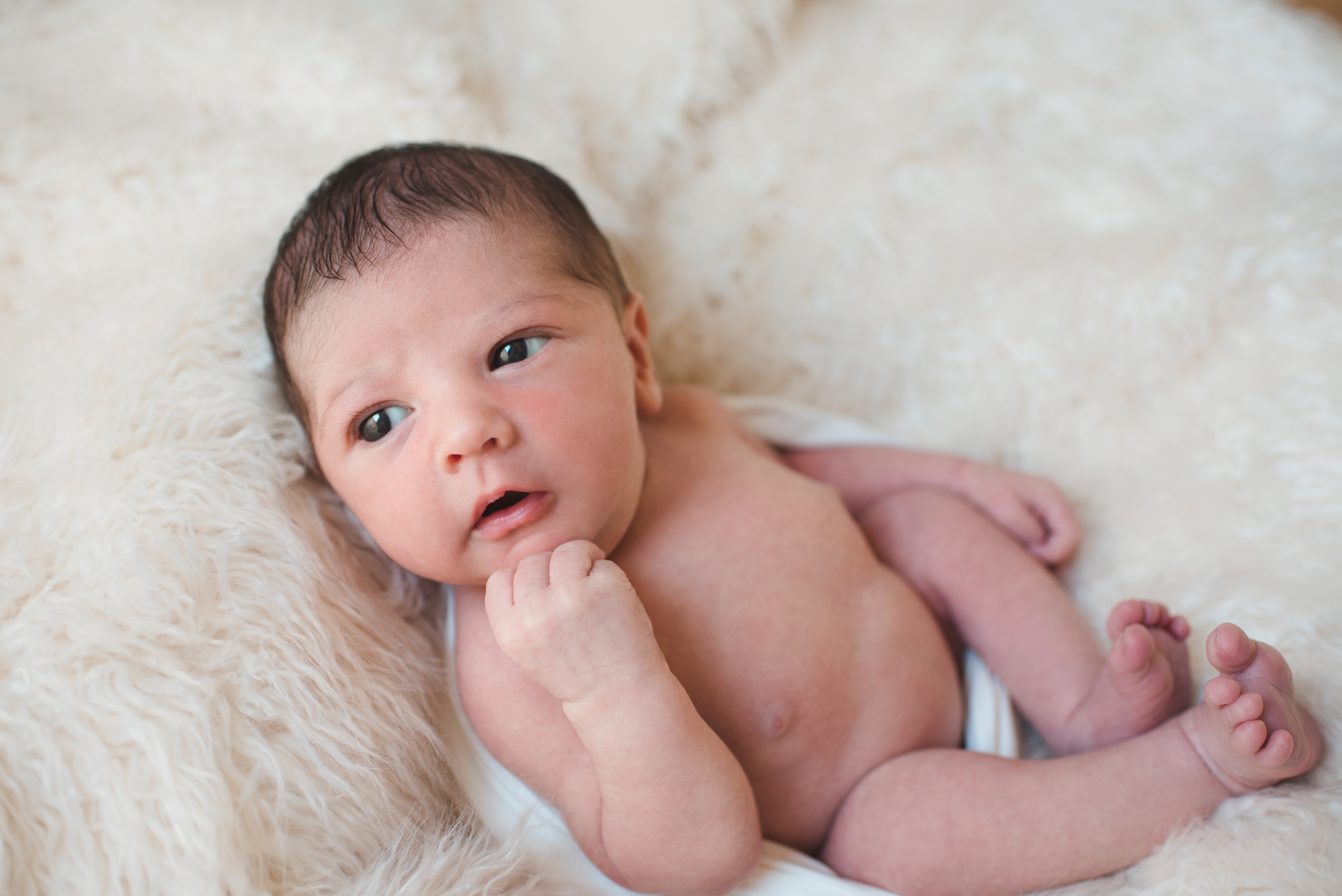 cream colored flokati, newborn baby boy, white swaddle, awake newborn photography